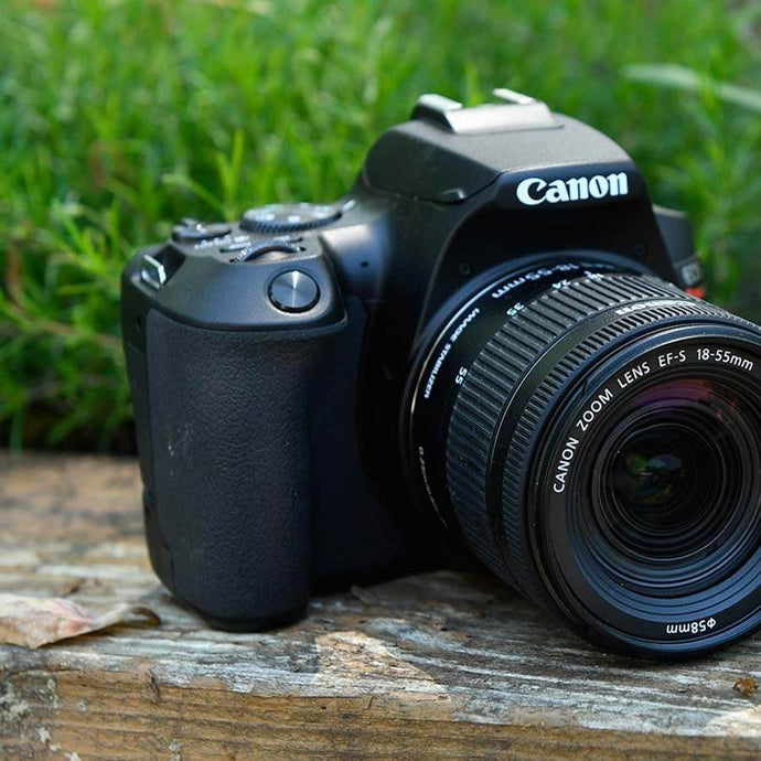 Canon წამყვანი ბრენდი ფოტოაპარატების წარმოებაში