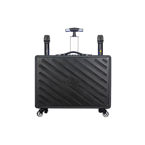 Bluetooth დინამიკი AILIANG LIGE-122