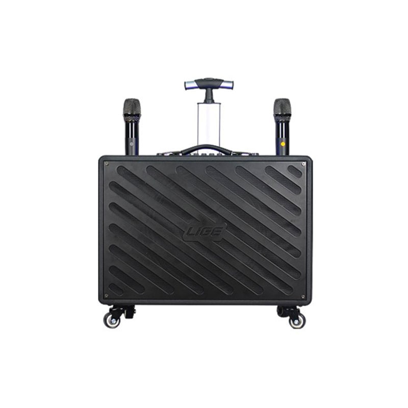 Bluetooth დინამიკი AILIANG LIGE-122