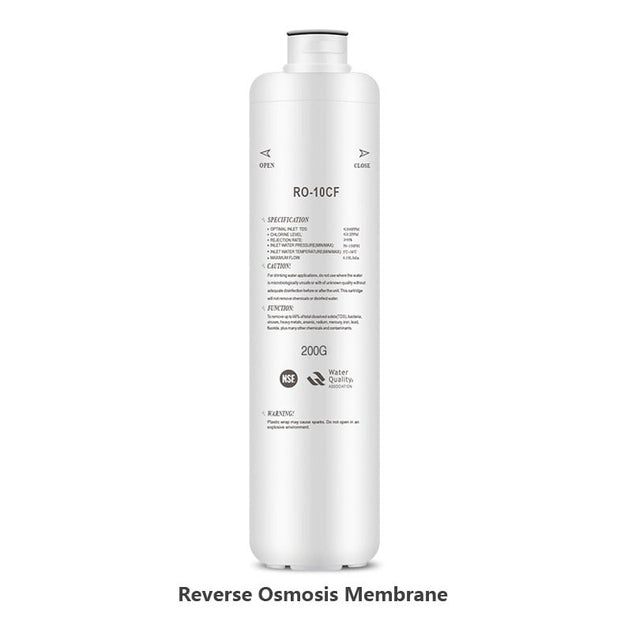 უკუოსმოსის მემბრანის მოდული RO-10CF-250G (0.660 ლ/წთ)