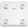 სასწორი Zilan ZLN9006