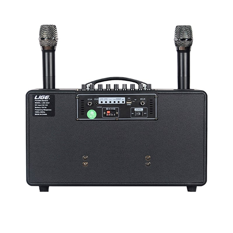 Bluetooth დინამიკი AILIANG LiGE-2637