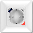 ჭკვიანი როზეტი Moes WK-Y-EU-1U1C-WH-EN