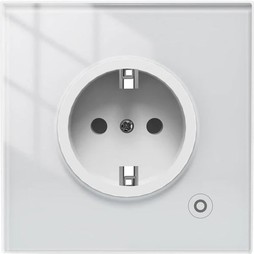 ჭკვიანი როზეტი Moes WK-EU16M-WH-MS