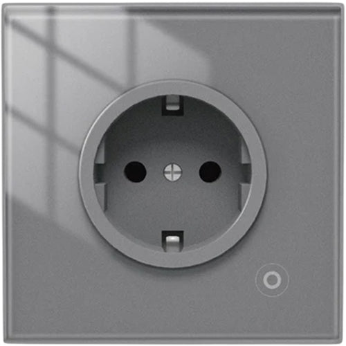 ჭკვიანი როზეტი Moes WK-EU16M-GY-MS