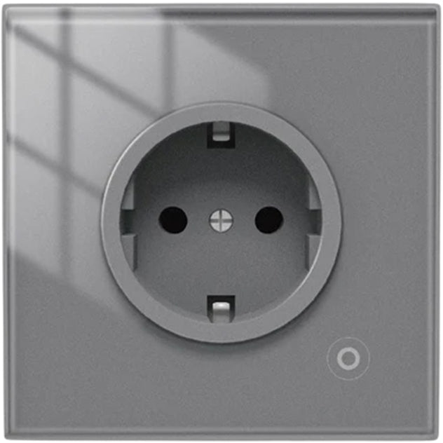 ჭკვიანი როზეტი Moes WK-EU16M-GY-MS
