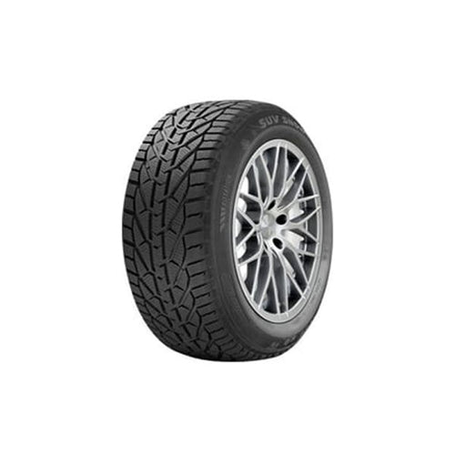 საბურავი 215/50R17 SNOW RIKEN 20113122