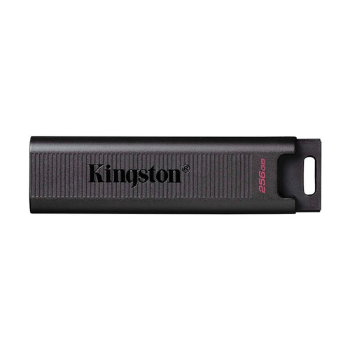 USB ფლეშ მეხსიერება Kingston 256GB DataTraveler Max USB 3.2 Type-C (DTMAX/256GB)