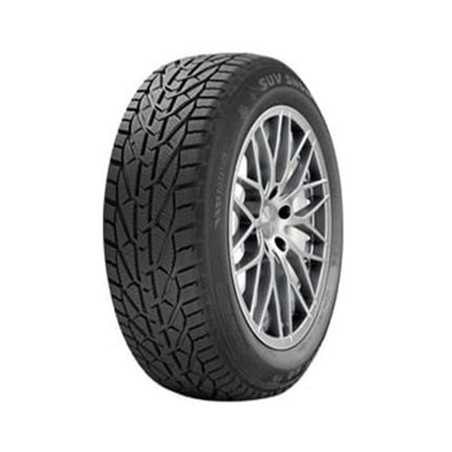 საბურავი 215/40R17 SNOW RIKEN 20113123
