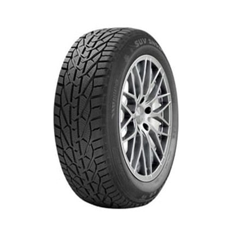 საბურავი 215/40R17 SNOW RIKEN 20113123