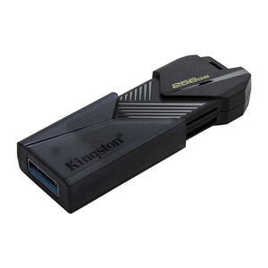 USB ფლეშ მეხსიერება Kingston DataTraveler DTXON/256GB