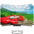 Smart 4K Android ტელევიზორი Thomson QLED Pro 55QG7C14 55 inch (139 სმ)