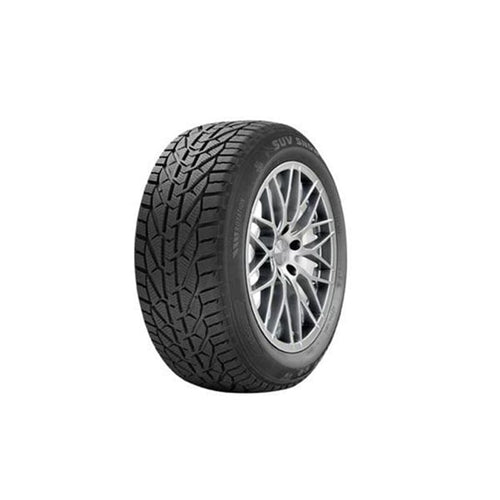 საბურავი 205/55R17 SNOW RIKEN 20111094