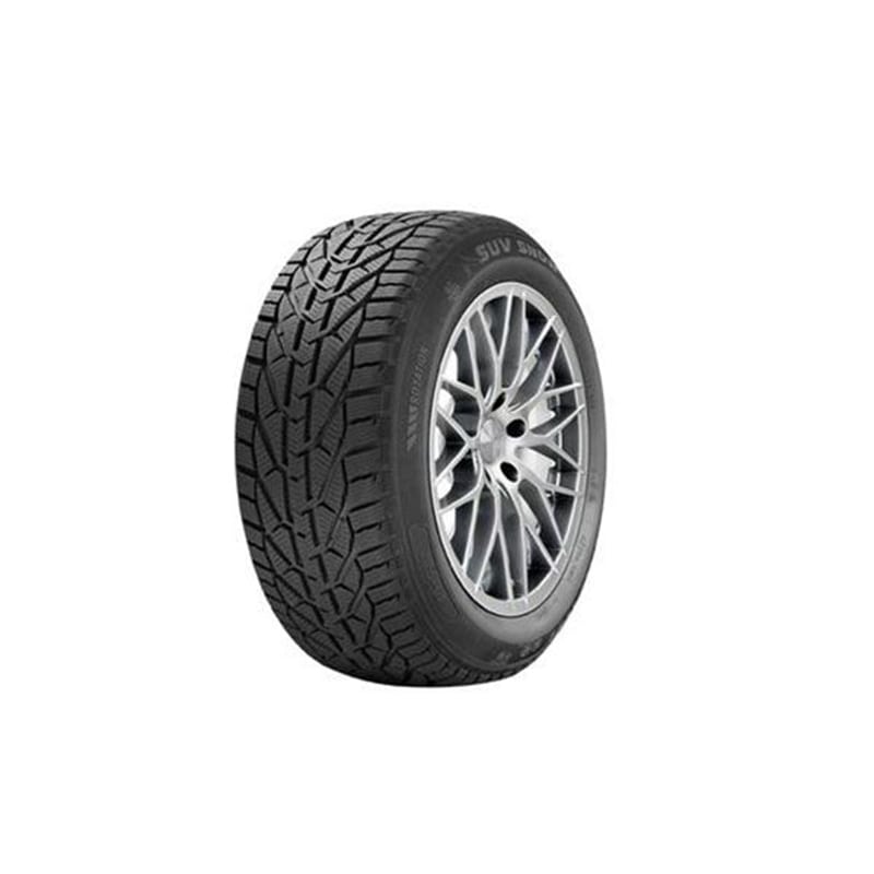 საბურავი 205/55R17 SNOW RIKEN 20111094