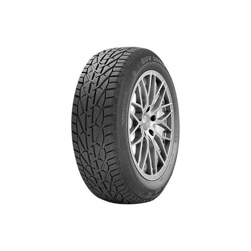 საბურავი 205/65R16 SNOW RIKEN 20113466