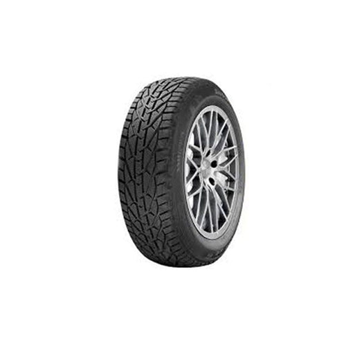 საბურავი 215/55R16 SNOW RIKEN 20111101