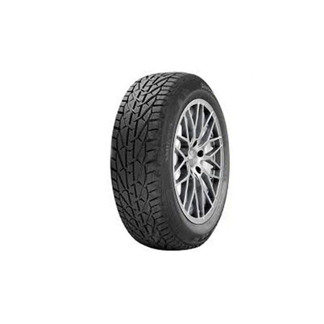 საბურავი 215/55R16 SNOW RIKEN 20111101