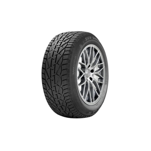 საბურავი 205/50R17 SNOW RIKEN 20113561