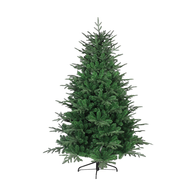 ნაძვის ხე 180 სმ-დან 195 სმ-მდე