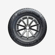ავტომობილის საბურავი LANVIGATOR ICELANDMAX 195/65R15