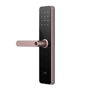 კარის ჭკვიანი საკეტი Lockin Smart Lock X1