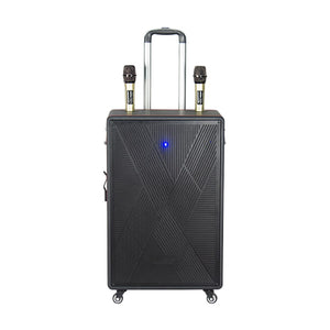 Bluetooth დინამიკი AILIANG LiGE-155