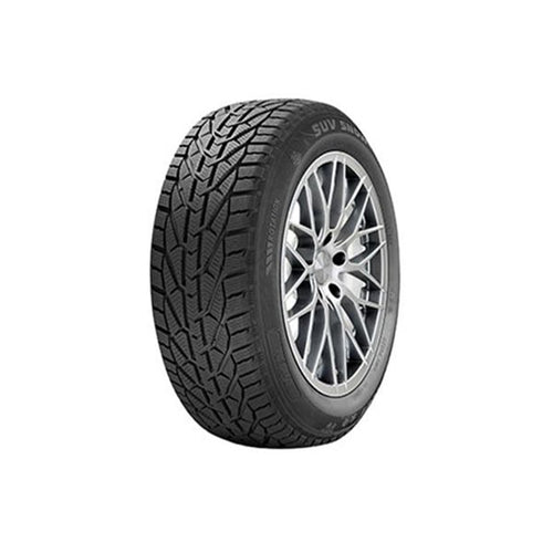 საბურავი 205/65R15 SNOW RIKEN 20110967