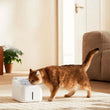 ჭკვიანი შინაური ცხოველების შადრევანი Xiaomi Smart Pet Fountain 2 BHR9485GL