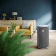 ჰაერის ჭკვიანი გამწმენდი 135მ² Philips AC3220/10