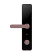 კარის ჭკვიანი საკეტი Lockin Smart Lock X1