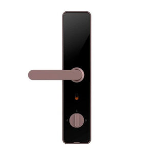 კარის ჭკვიანი საკეტი Lockin Smart Lock X1