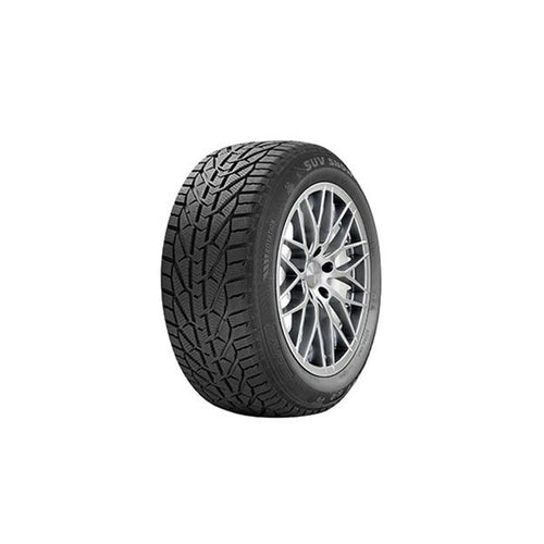 საბურავი 195/55R15 SNOW RIKEN 20110969
