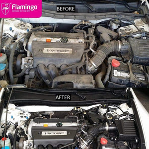 ძრავის ზედაპირის საწმენდი სპრეი FLAMINGO F009