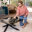 მინის სამწმენდი აპარატი Karcher WV 5 PLUS Anniversary Edition