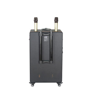 Bluetooth დინამიკი AILIANG LiGE-155