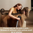 მტვერსასრუტი Dreame Z40 VZV33A