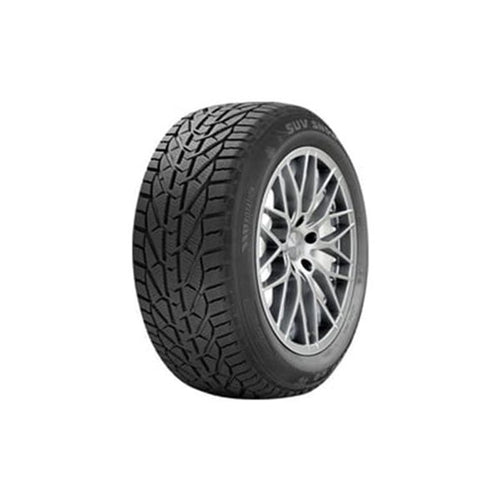 საბურავი 225/45R17 SNOW RIKEN 20110970