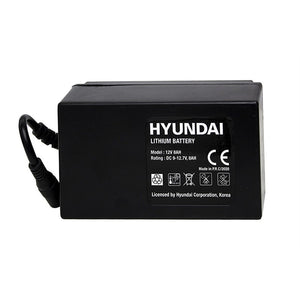 გამფრქვევი ელექტრო HYUNDAI HAU.GS20E