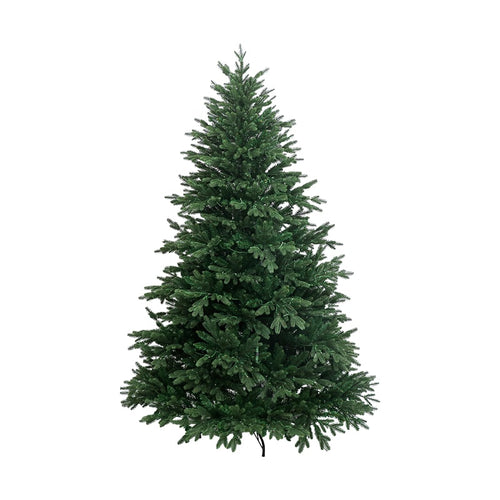 ნაძვის ხე 180 სმ-დან 240 სმ-მდე