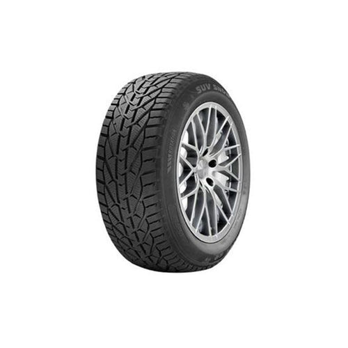 საბურავი 225/45R18 SNOW RIKEN 20110980