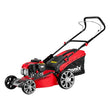 გაზონის საკრეჭი ბენზინზე Ronix 4446