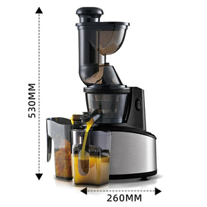 წვენსაწური Mini Braon SJ-60