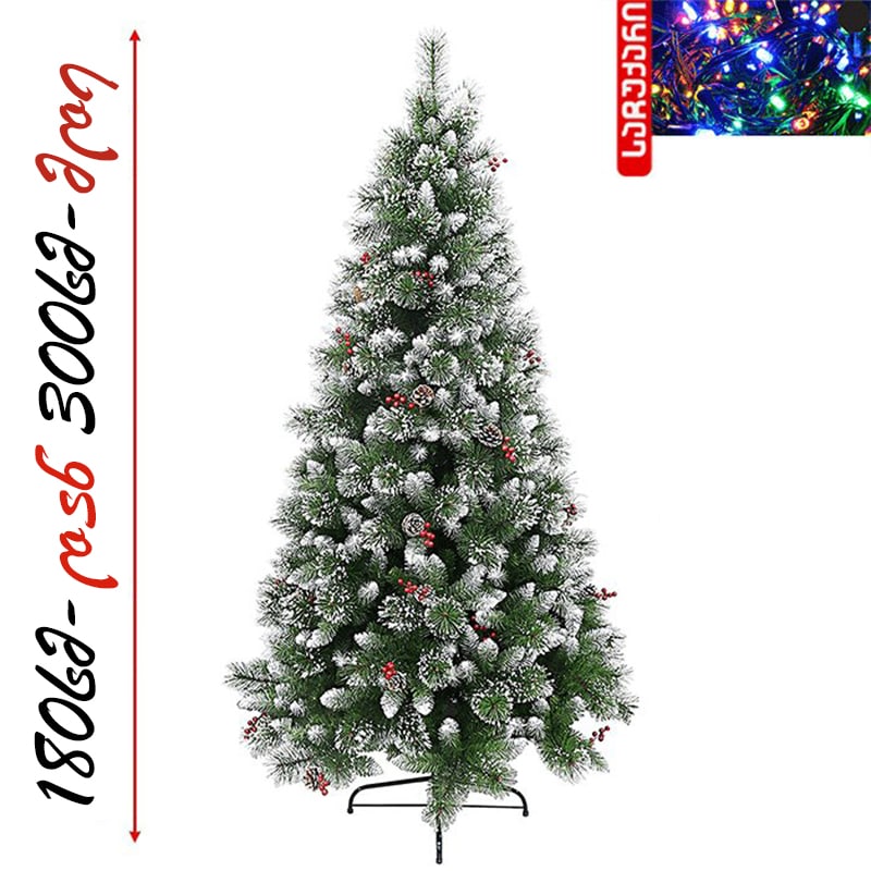 ნაძვის ხე დათოვლილი ბოლოებით, გირჩით და კენკრით 180 სმ-დან 300 სმ-მდე SP35 Spoly