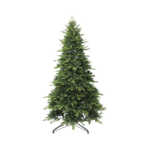 ნაძვის ხე 180 სმ-დან 210 სმ-მდე