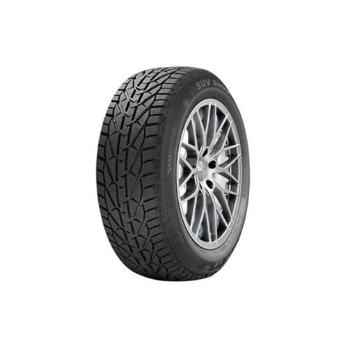 საბურავი 225/55R17 SNOW RIKEN 20110981
