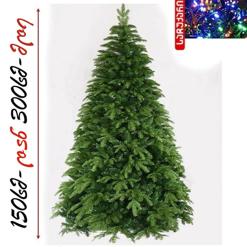 ნაძვის ხე - კანადური სტილის მწვანე შერეული წიწვებით 150 სმ-დან 300 სმ-მდე SP42 Spoly