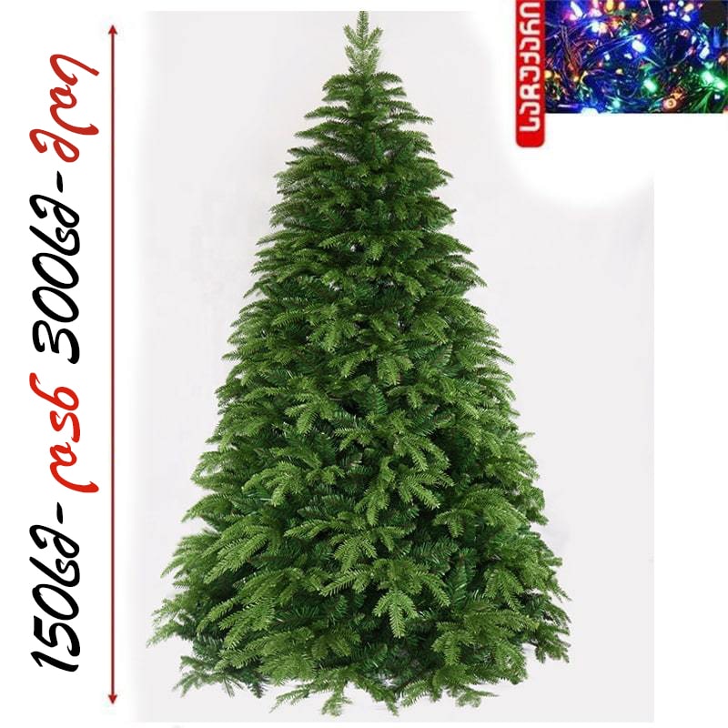 ნაძვის ხე - კანადური სტილის მწვანე შერეული წიწვებით 150 სმ-დან 300 სმ-მდე SP42 Spoly