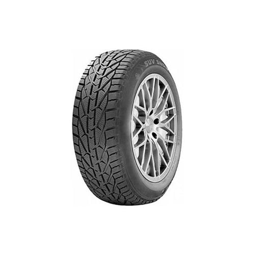 საბურავი 215/60R16 SNOW RIKEN 20111033