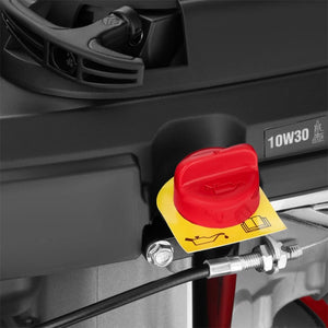 გაზონის საკრეჭი ბენზინზე Ronix 4451