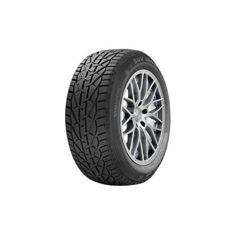 საბურავი 235/55R17 SNOW RIKEN 20111035